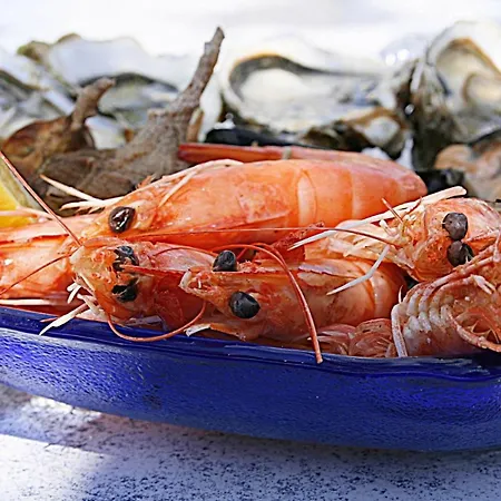 公寓 Easy4stay By Center Ii 波尔蒂芒