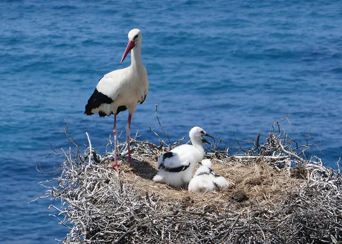 Easy4stay By Center Ii Διαμέρισμα